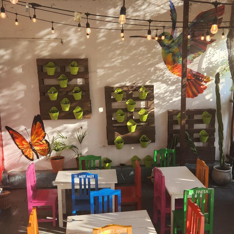Casa Frida Villa Tulum Eksteriør bilde